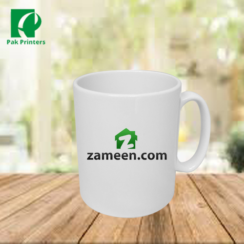zameen.com mug